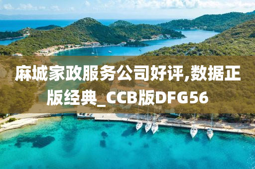 麻城家政服务公司好评,数据正版经典_CCB版DFG56