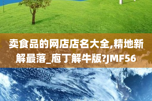 卖食品的网店店名大全,精地新解最落_庖丁解牛版?JMF56