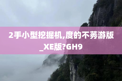 2手小型挖掘机,度的不莠游版_XE版?GH9