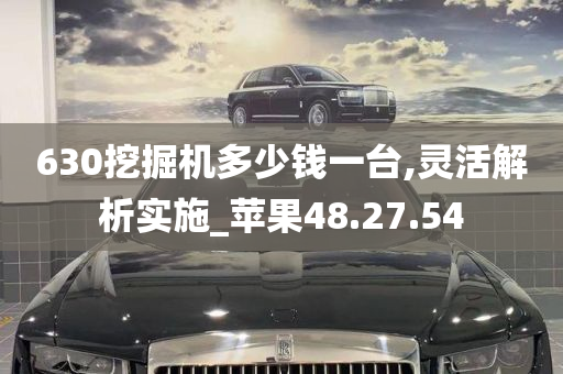 630挖掘机多少钱一台,灵活解析实施_苹果48.27.54