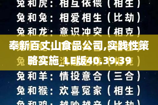 奉新百丈山食品公司,实践性策略实施_LE版40.39.39