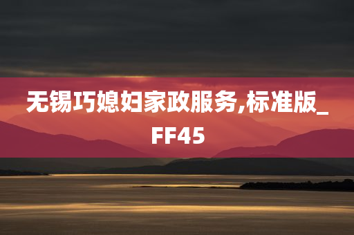 无锡巧媳妇家政服务,标准版_FF45