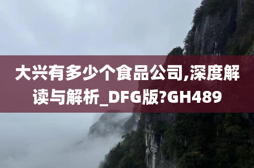 大兴有多少个食品公司,深度解读与解析_DFG版?GH489