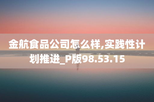 金航食品公司怎么样,实践性计划推进_P版98.53.15