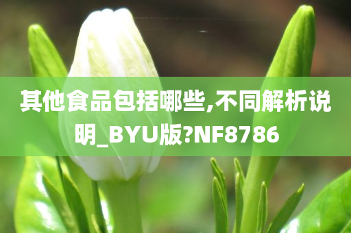 其他食品包括哪些,不同解析说明_BYU版?NF8786