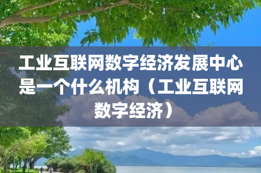 工业互联网数字经济发展中心是一个什么机构（工业互联网 数字经济）