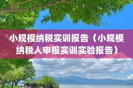 小规模纳税实训报告（小规模纳税人申报实训实验报告）