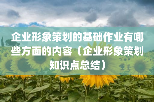 企业形象策划的基础作业有哪些方面的内容（企业形象策划知识点总结）