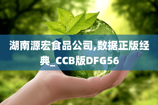 湖南源宏食品公司,数据正版经典_CCB版DFG56