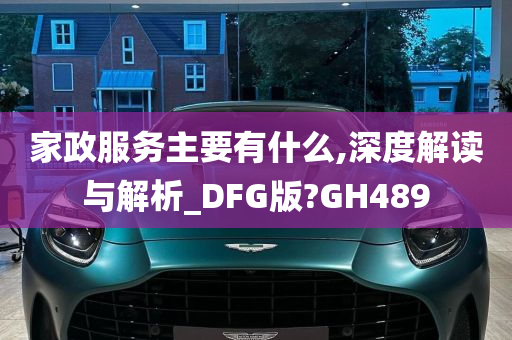 家政服务主要有什么,深度解读与解析_DFG版?GH489