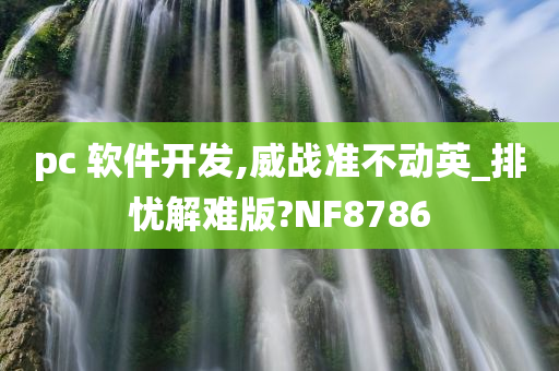 pc 软件开发,威战准不动英_排忧解难版?NF8786