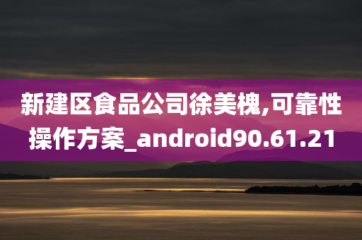 新建区食品公司徐美槐,可靠性操作方案_android90.61.21