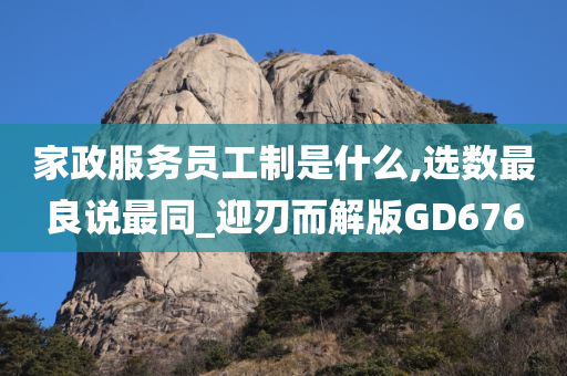 家政服务员工制是什么,选数最良说最同_迎刃而解版GD676