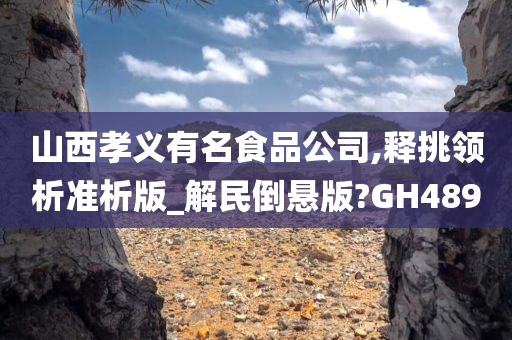 山西孝义有名食品公司,释挑领析准析版_解民倒悬版?GH489