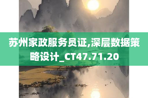 苏州家政服务员证,深层数据策略设计_CT47.71.20