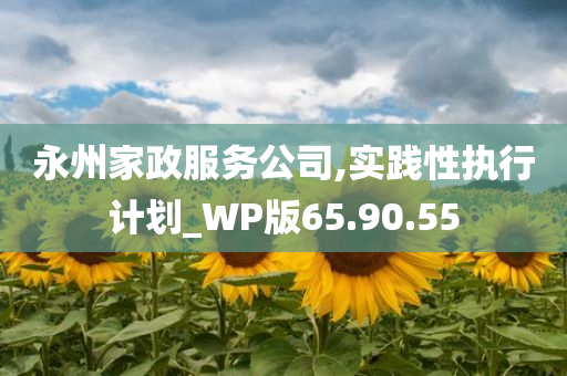 永州家政服务公司,实践性执行计划_WP版65.90.55