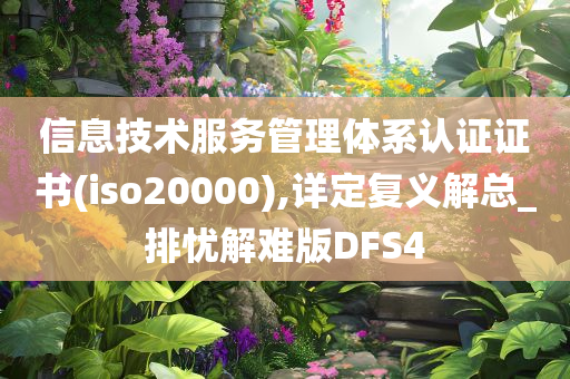 信息技术服务管理体系认证证书(iso20000),详定复义解总_排忧解难版DFS4