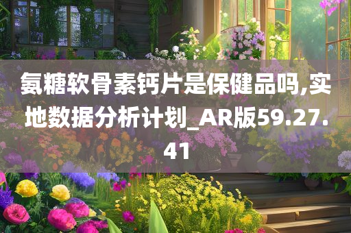 氨糖软骨素钙片是保健品吗,实地数据分析计划_AR版59.27.41