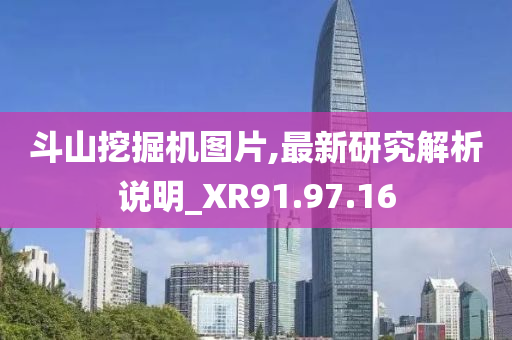 斗山挖掘机图片,最新研究解析说明_XR91.97.16