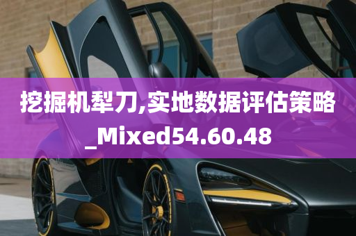 挖掘机犁刀,实地数据评估策略_Mixed54.60.48