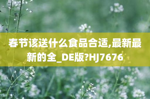 春节该送什么食品合适,最新最新的全_DE版?HJ7676