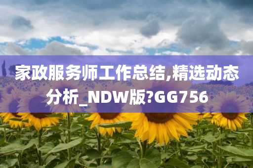 家政服务师工作总结,精选动态分析_NDW版?GG756