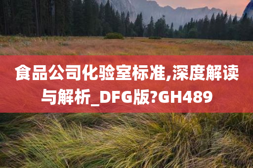 食品公司化验室标准,深度解读与解析_DFG版?GH489