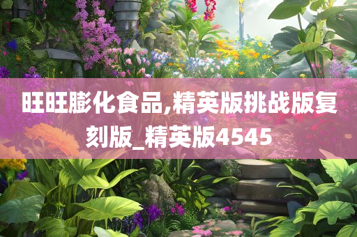 旺旺膨化食品,精英版挑战版复刻版_精英版4545