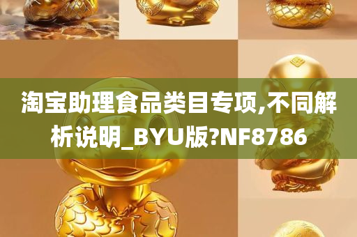 淘宝助理食品类目专项,不同解析说明_BYU版?NF8786