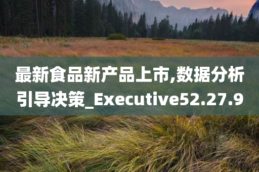 最新食品新产品上市,数据分析引导决策_Executive52.27.90