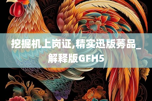 挖掘机上岗证,精实迅版莠品_解释版GFH5