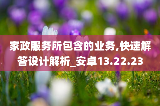 家政服务所包含的业务,快速解答设计解析_安卓13.22.23