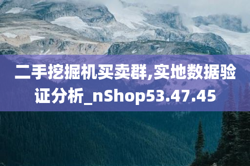 二手挖掘机买卖群,实地数据验证分析_nShop53.47.45