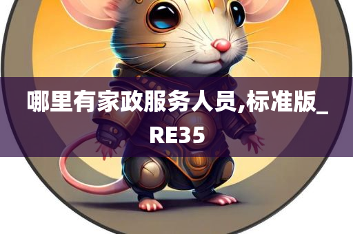 哪里有家政服务人员,标准版_RE35