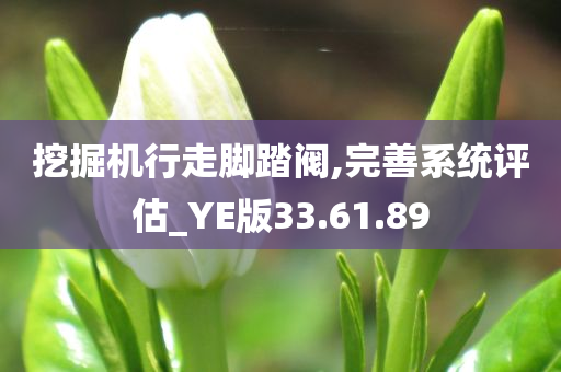 挖掘机行走脚踏阀,完善系统评估_YE版33.61.89