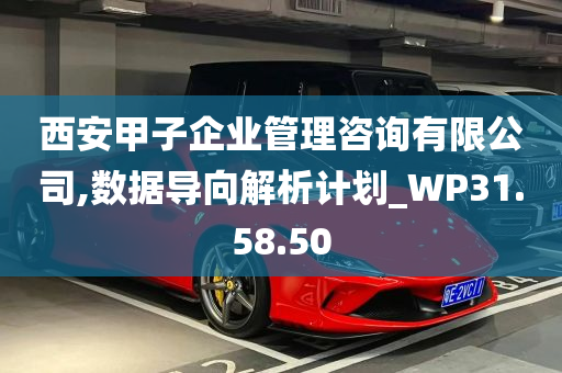 西安甲子企业管理咨询有限公司,数据导向解析计划_WP31.58.50