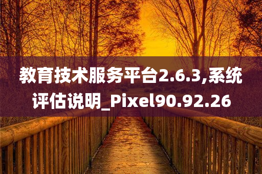 教育技术服务平台2.6.3,系统评估说明_Pixel90.92.26