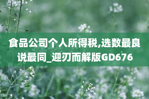 食品公司个人所得税,选数最良说最同_迎刃而解版GD676