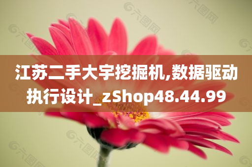 江苏二手大宇挖掘机,数据驱动执行设计_zShop48.44.99