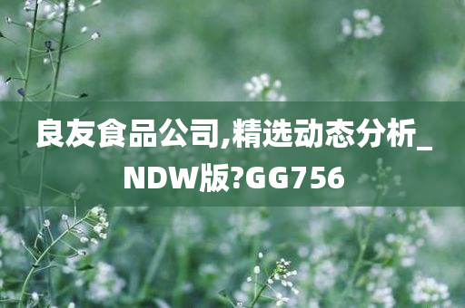 良友食品公司,精选动态分析_NDW版?GG756