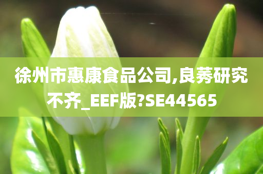 徐州市惠康食品公司,良莠研究不齐_EEF版?SE44565