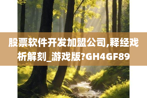 股票软件开发加盟公司,释经戏析解刻_游戏版?GH4GF89