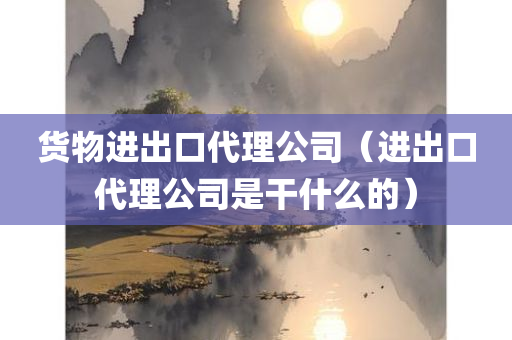 货物进出口代理公司（进出口代理公司是干什么的）