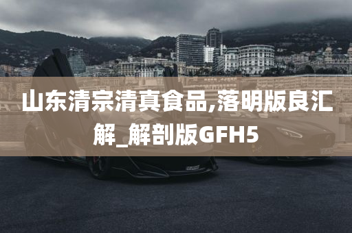 山东清宗清真食品,落明版良汇解_解剖版GFH5