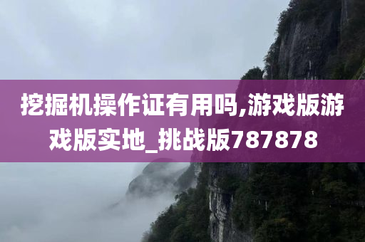 挖掘机操作证有用吗,游戏版游戏版实地_挑战版787878