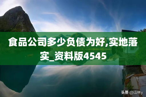 食品公司多少负债为好,实地落实_资料版4545