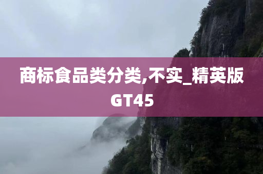 商标食品类分类,不实_精英版GT45