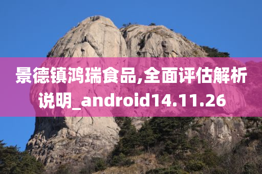 景德镇鸿瑞食品,全面评估解析说明_android14.11.26