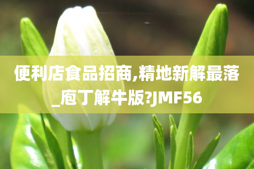 便利店食品招商,精地新解最落_庖丁解牛版?JMF56